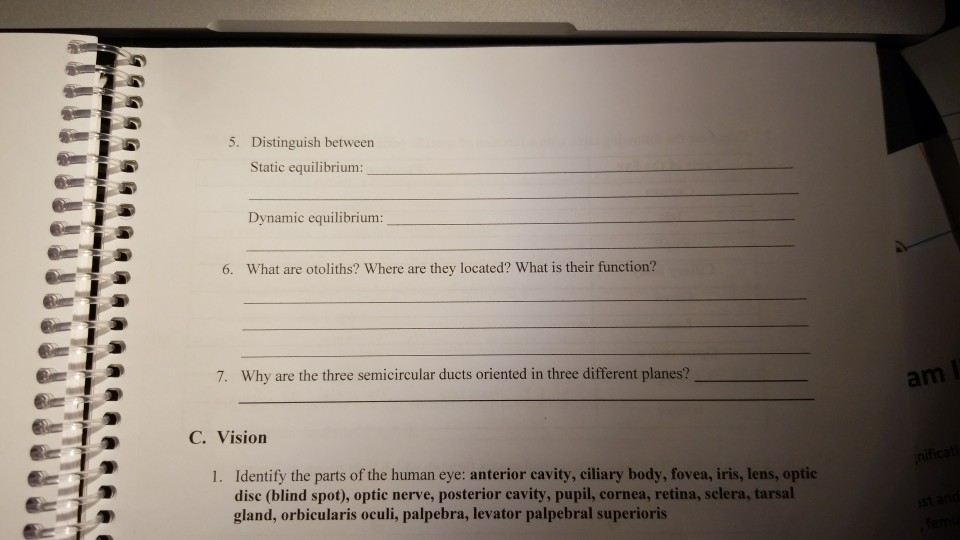 Solved 5. Distinguish between Static equilibrium: Dynamic | Chegg.com