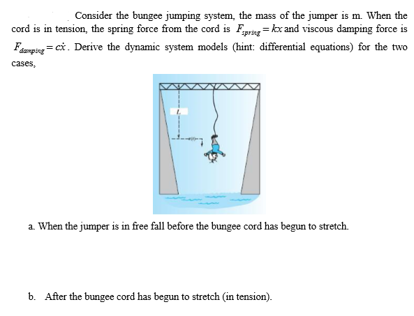 Consider The Bungee Jumping System, The Mass Of The | Chegg.com