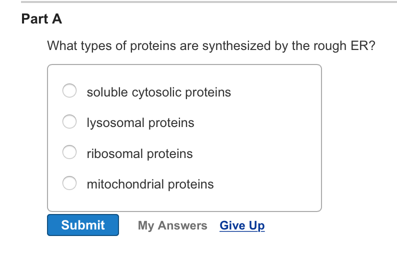 Solved What types of proteins are synthesized by the rough