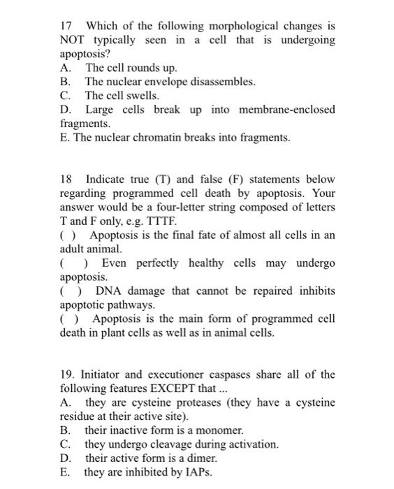 Solved 17 Which of the following morphological changes is | Chegg.com