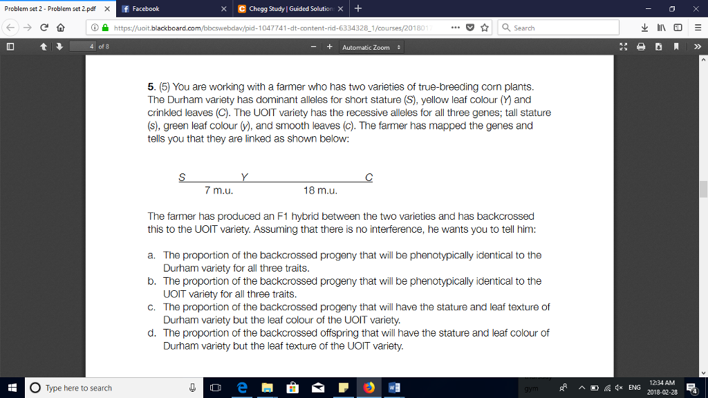 Solved Problem Set 2-Problem Set 2.pdf Chegg Study Guided | Chegg.com