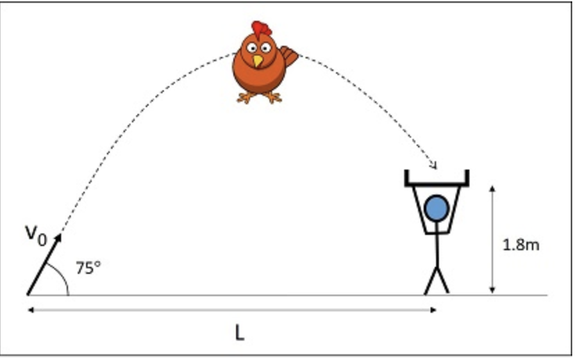 Solved chicken in the washing basket game'. You launch a