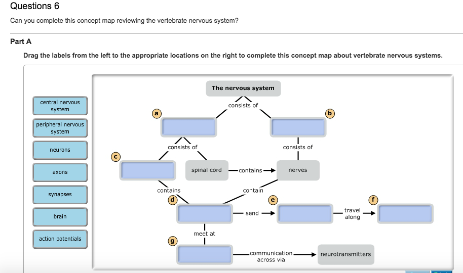 Solved: Can You Complete This Concept Map Reviewing The Ve... | Chegg.com
