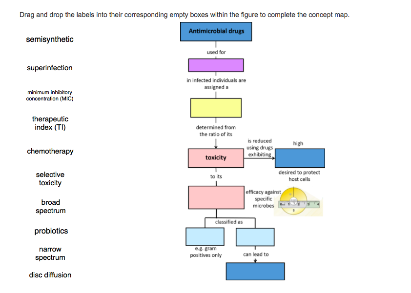Solved Drag and drop the labels into their corresponding