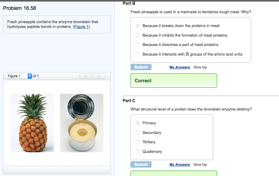 Solved Fresh pineapple contains the enzyme bromelain that