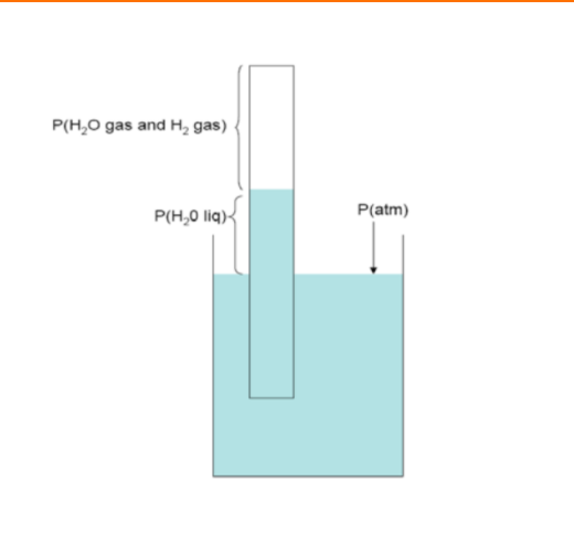 Solved Using the experimental setup displayed in the figure | Chegg.com