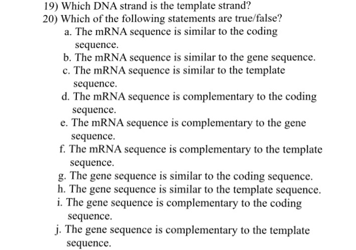 Solved Which DNA strand is the template strand? Which of | Chegg.com