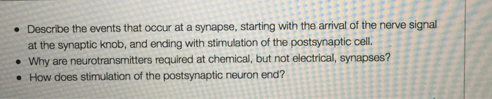 solved-describe-the-events-that-occur-at-a-synapse-starting-chegg