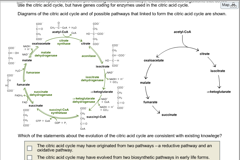 Solved BIOCHEMISTRY Question The Citric Acid Cycle | Chegg.com