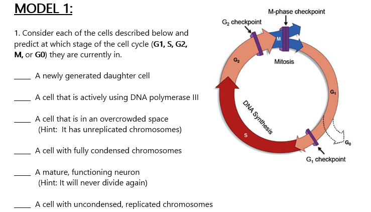 diagram-diagram-of-check-cell-mydiagram-online