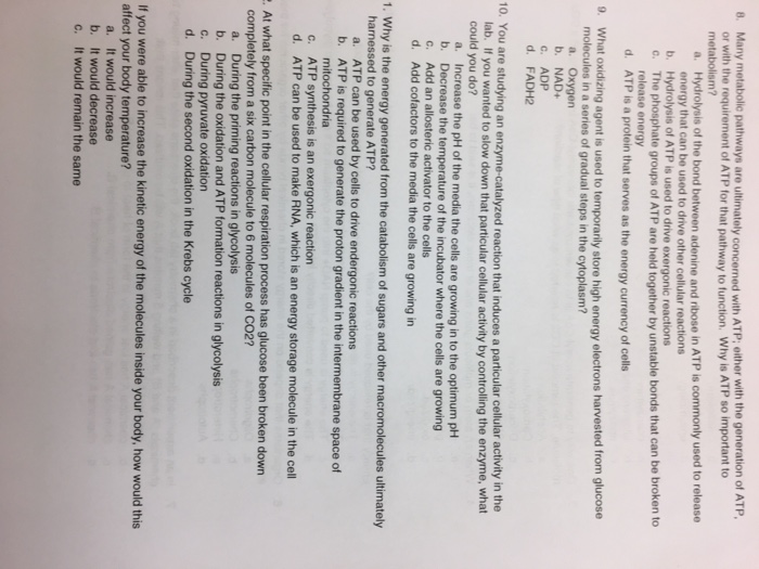 Gibbs Free Equation