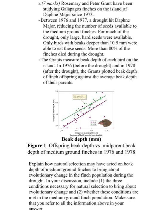 Peter And Rosemary Grant Finches Worksheet Answers