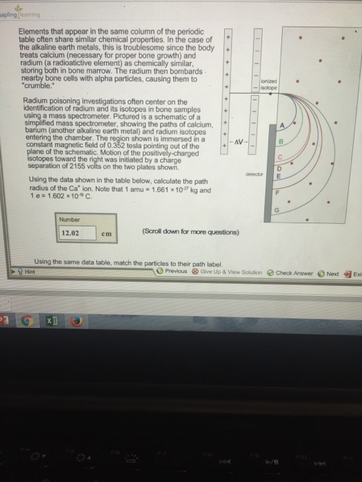 Which Pair Of Element Is Chemically Most Similar