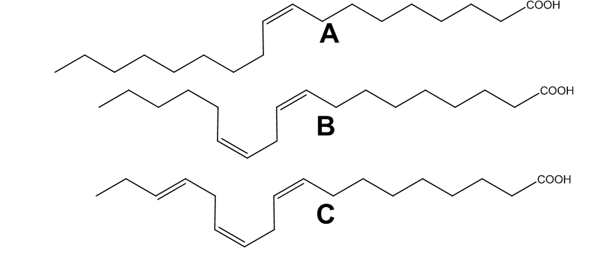 solved-what-is-the-correct-order-of-increasing-melting-point-chegg