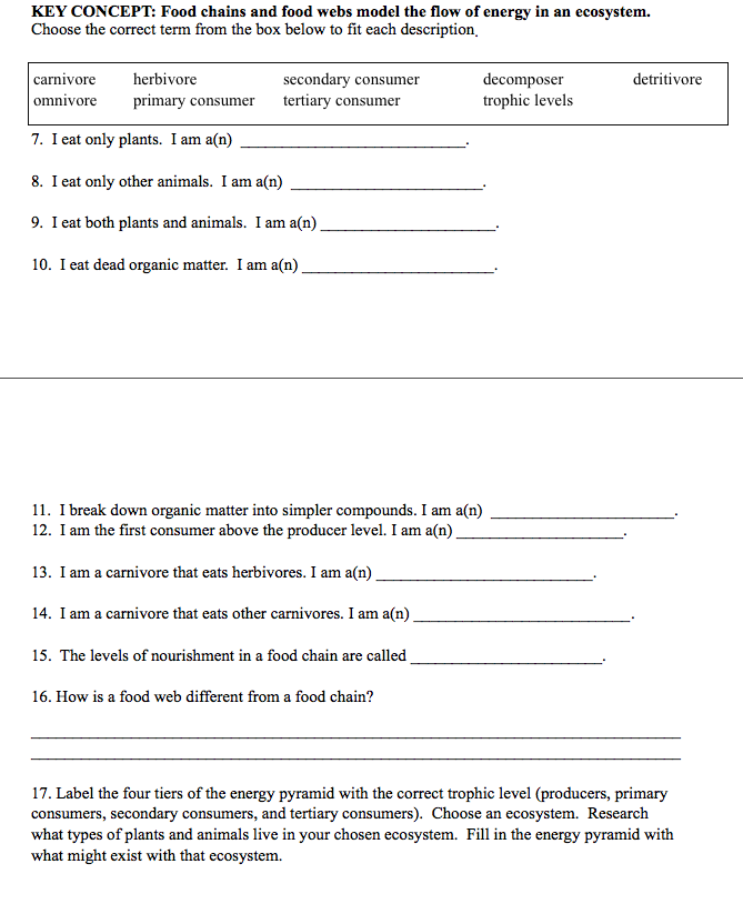 food-chain-trophic-levels-worksheet-answers