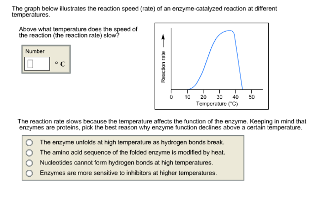 Solved How do enzymes recognize their substrates? O a