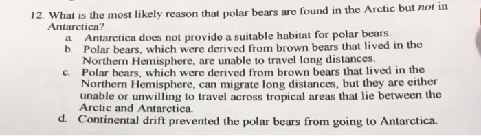 Solved What is the most likely reason that polar bears are | Chegg.com