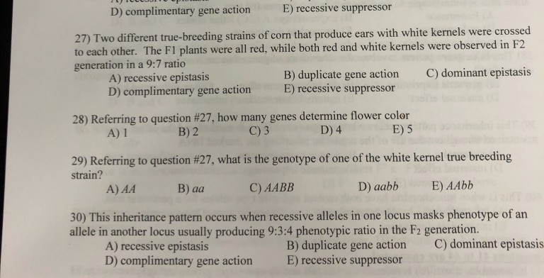 Solved D) complimentary gene action E) recessive suppressor | Chegg.com