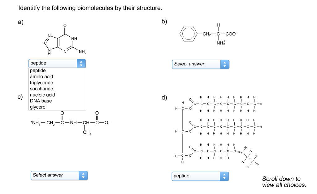 solved-identitfy-the-following-biomolecules-by-their-chegg