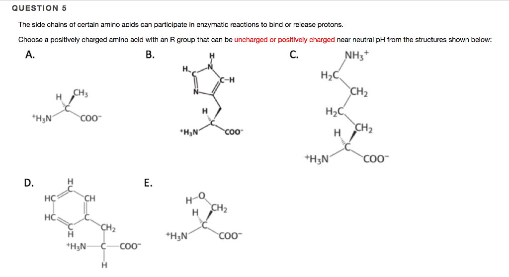 Solved The side chains of certain amino acids can | Chegg.com