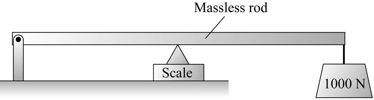 solved-question-what-does-the-scale-read-in-n-chegg