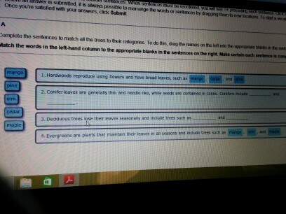 Solved: Complete The Sentences To Match All The Trees To T... | Chegg.com