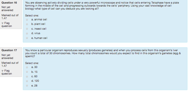 Solved You are observing actively dividing cells under a | Chegg.com