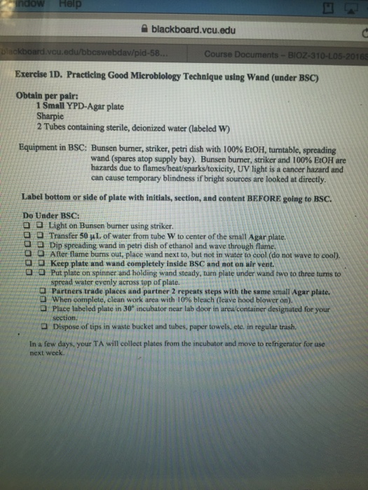 Solved: Genetics Lab | Chegg.com