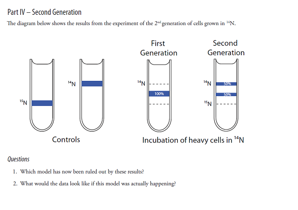 Solved Second Generation The diagram below shows the | Chegg.com
