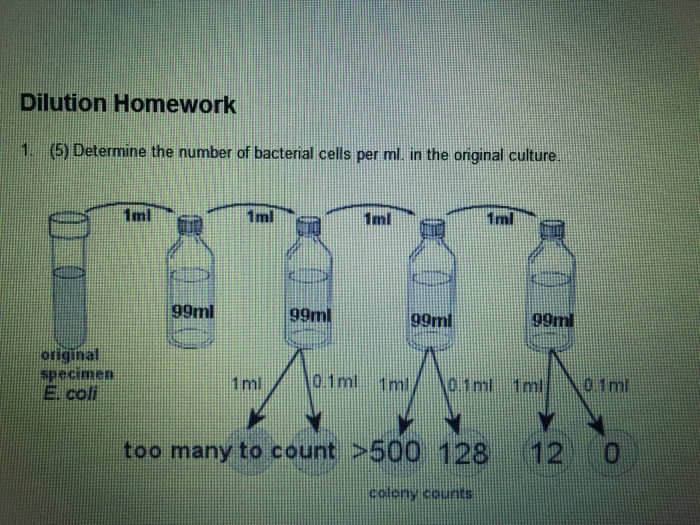 Solved Determine the number of bacterial cells per ml. in