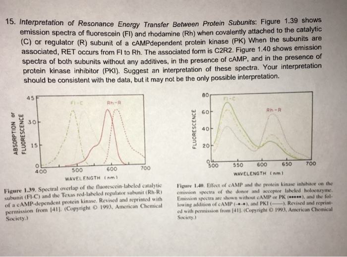 Solved Interpretation of Resonance Energy Transfer Between | Chegg.com