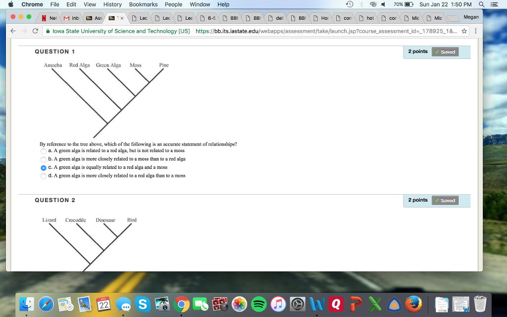 Solved By reference to the tree above, which of the | Chegg.com