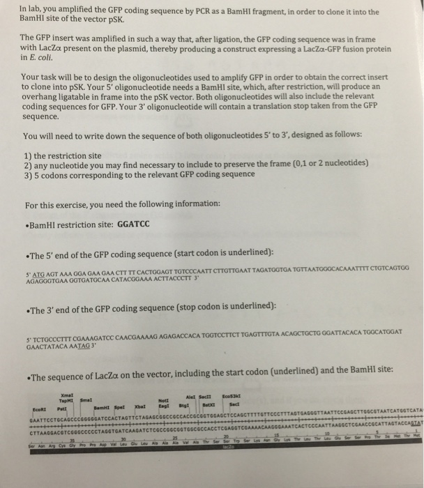 Solved In lab, you amplified the GFP coding sequence by PCR