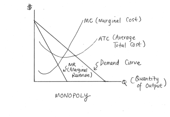 solved-1-name-and-explain-the-characteristics-of-monopoly-chegg