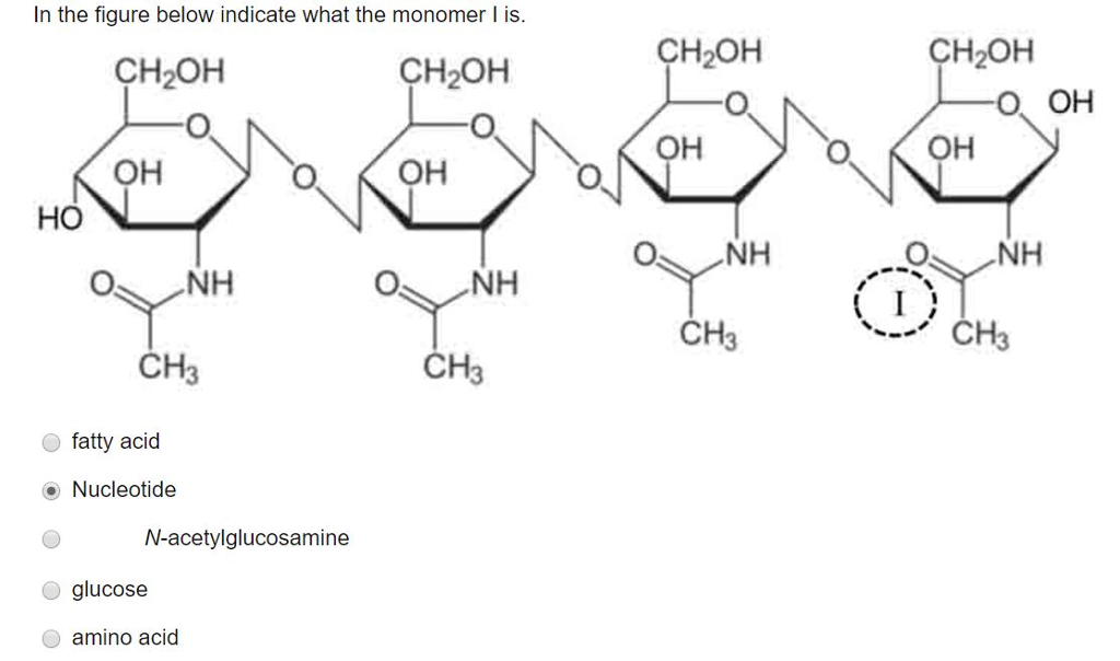 Solved In the figure below indicate what the monomer I is.