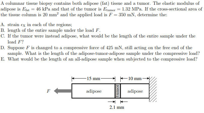 Solved A columnar tissue biopsy contains both adipose (fat) | Chegg.com