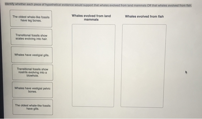 Solved Identify whether each piece of hypothetical evidence | Chegg.com