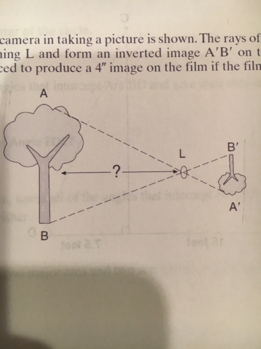 Solved The principle of a box camera in taking a picture is