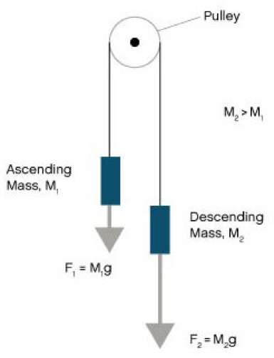 Solved Use the free body diagram of the pulley (Figure 5) to | Chegg.com