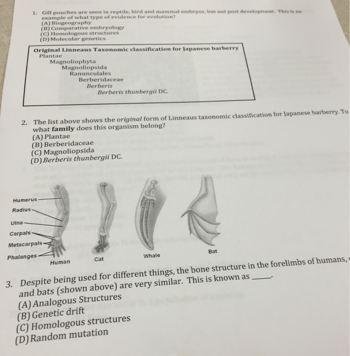 Solved The list above shows the original form of Ltnneaus | Chegg.com