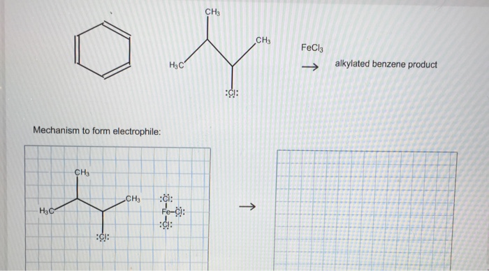 Solved 2 Chloro 3 Methyl Butane Reacts With Iron Iii