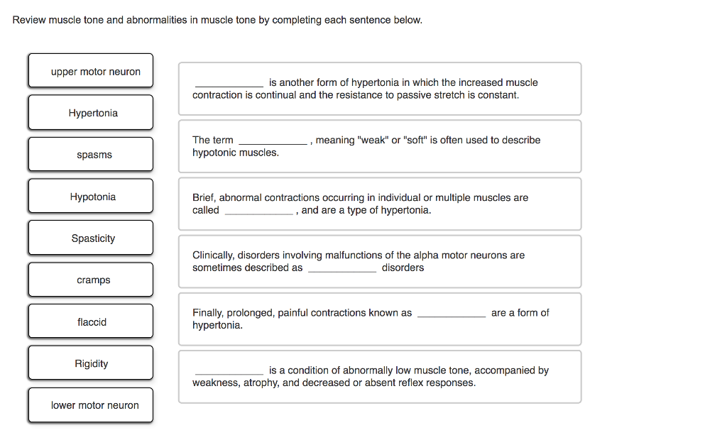 solved-review-muscle-tone-and-abnormalities-in-muscle-tone-chegg