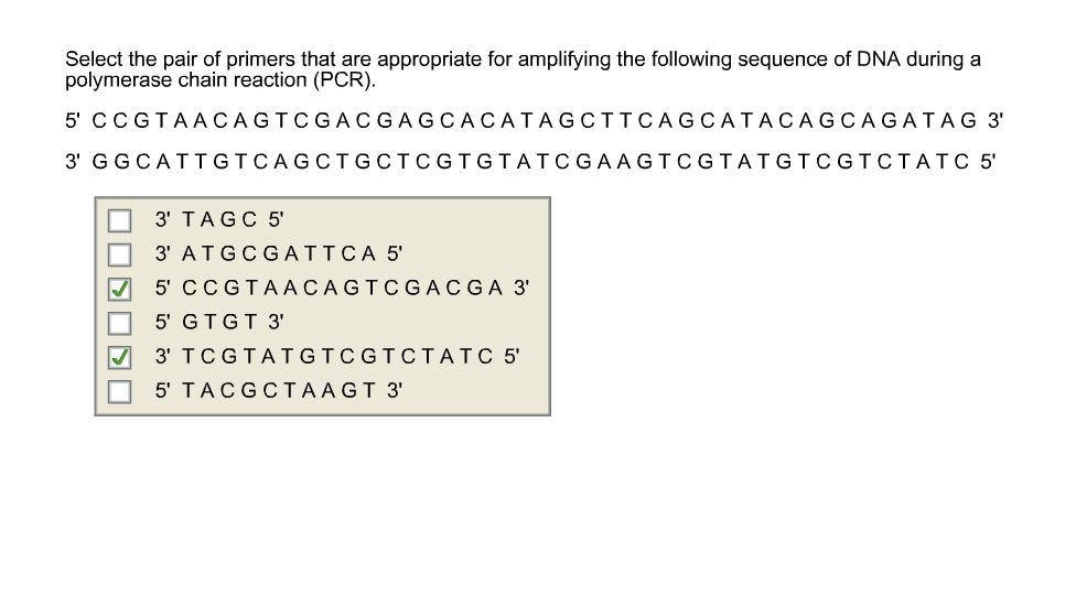 Solved Select the pair of primers that are appropriate for