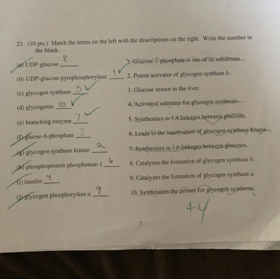 Solved Match the terms on the left with the descriptions on | Chegg.com