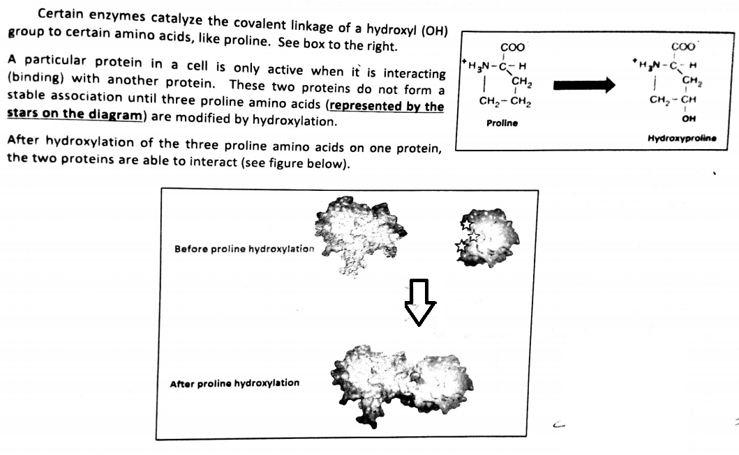 Solved A. Does hydroxylation change/alter the primary