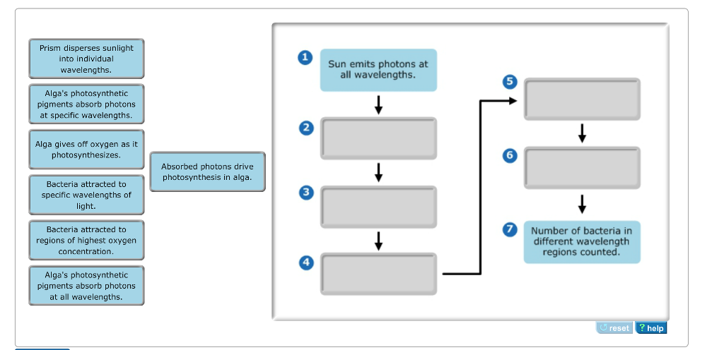 solved-part-a-experimental-technique-using-bacteria-to-chegg