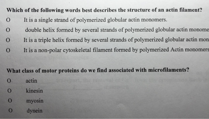 solved-which-of-the-following-words-best-describes-the-chegg