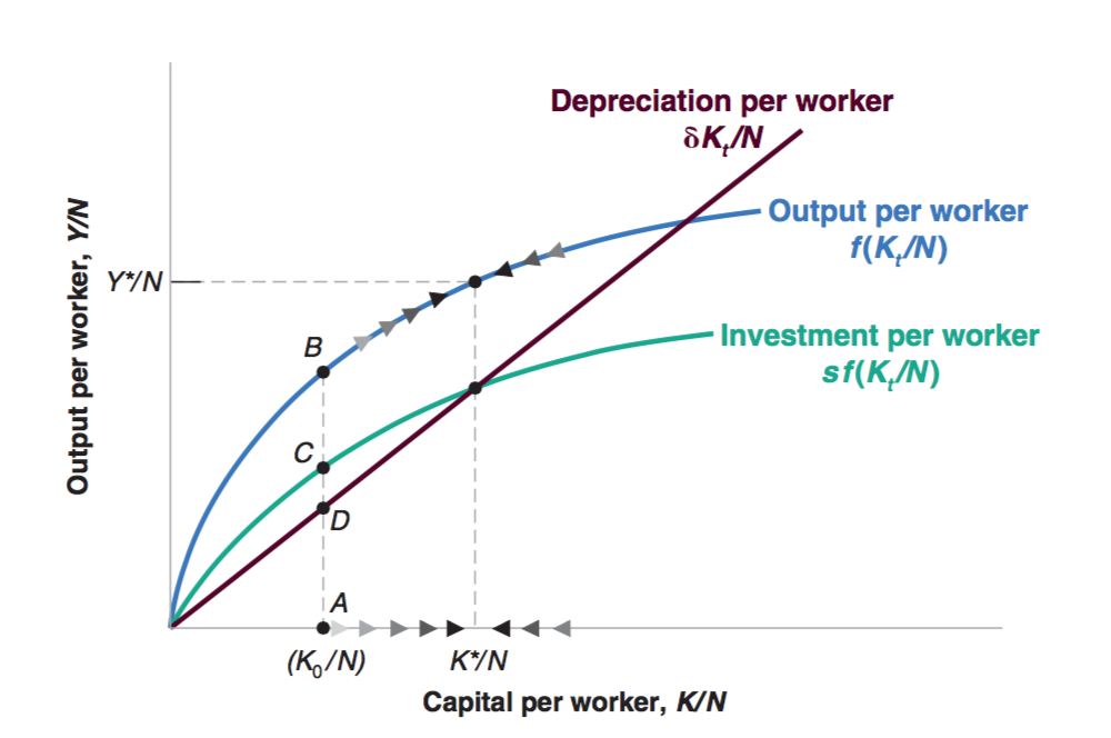 Steady State Graph