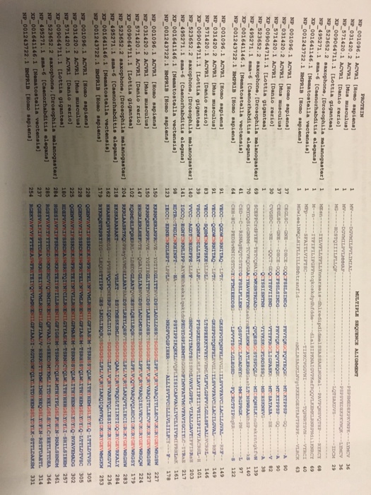 using the multiple sequence alignment,1. highlight in