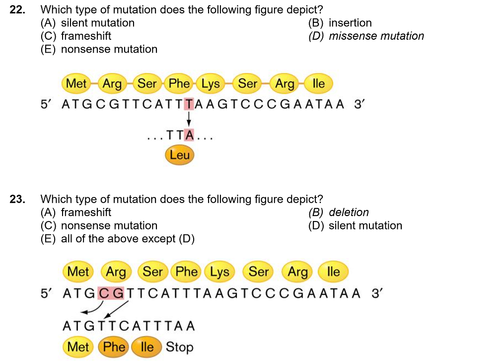 solved-22-which-type-of-mutation-does-the-following-figure-chegg